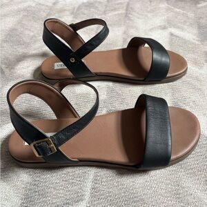 Steve Madden Medium Black Women's Dina Flat Sandals